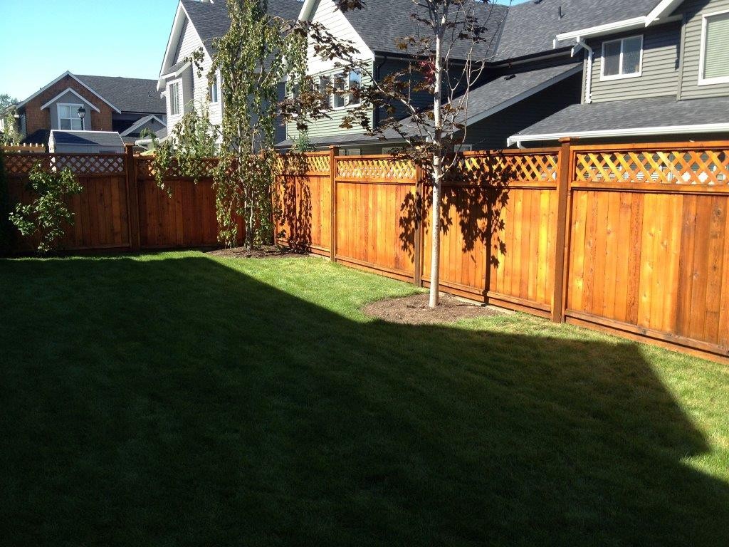 Cedar fence re-stain in Langley, BC 